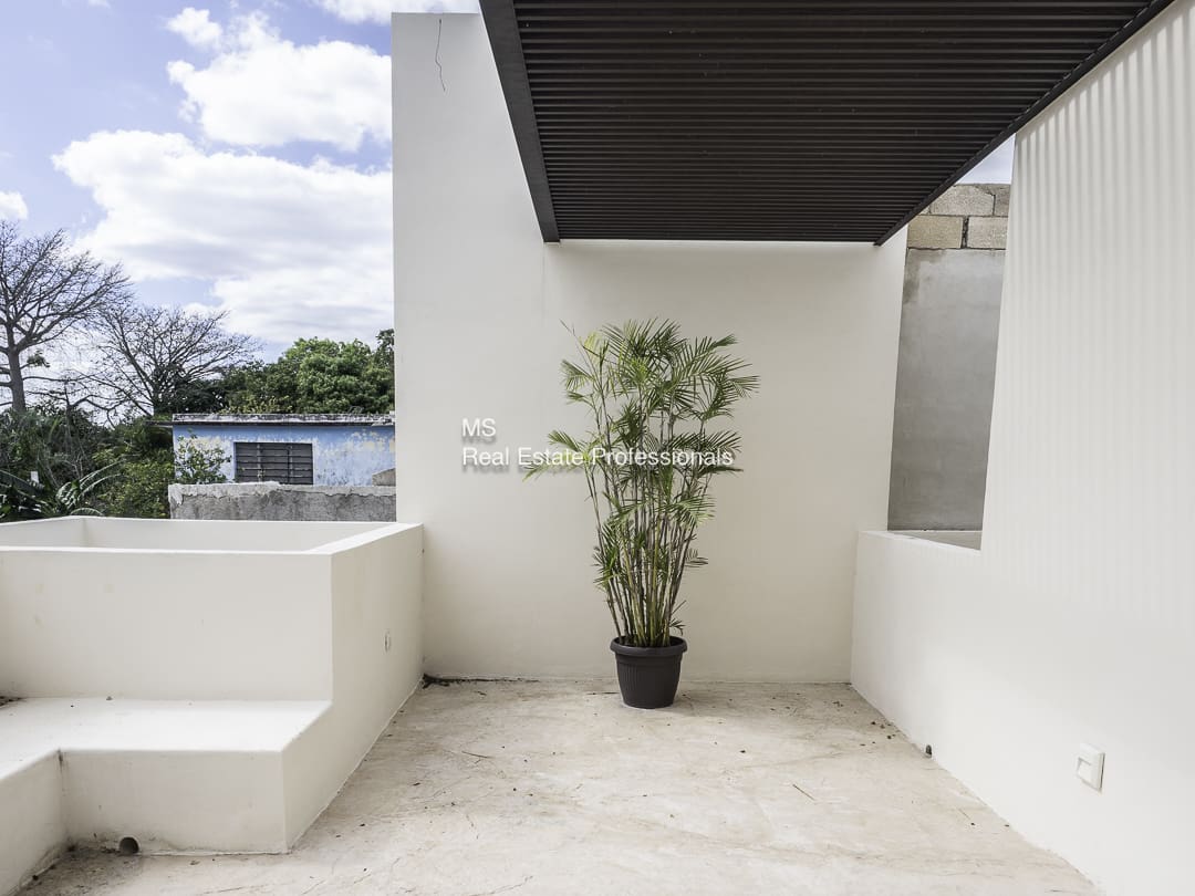 A potted plant on a white balcony with a wooden roof and a distant view.