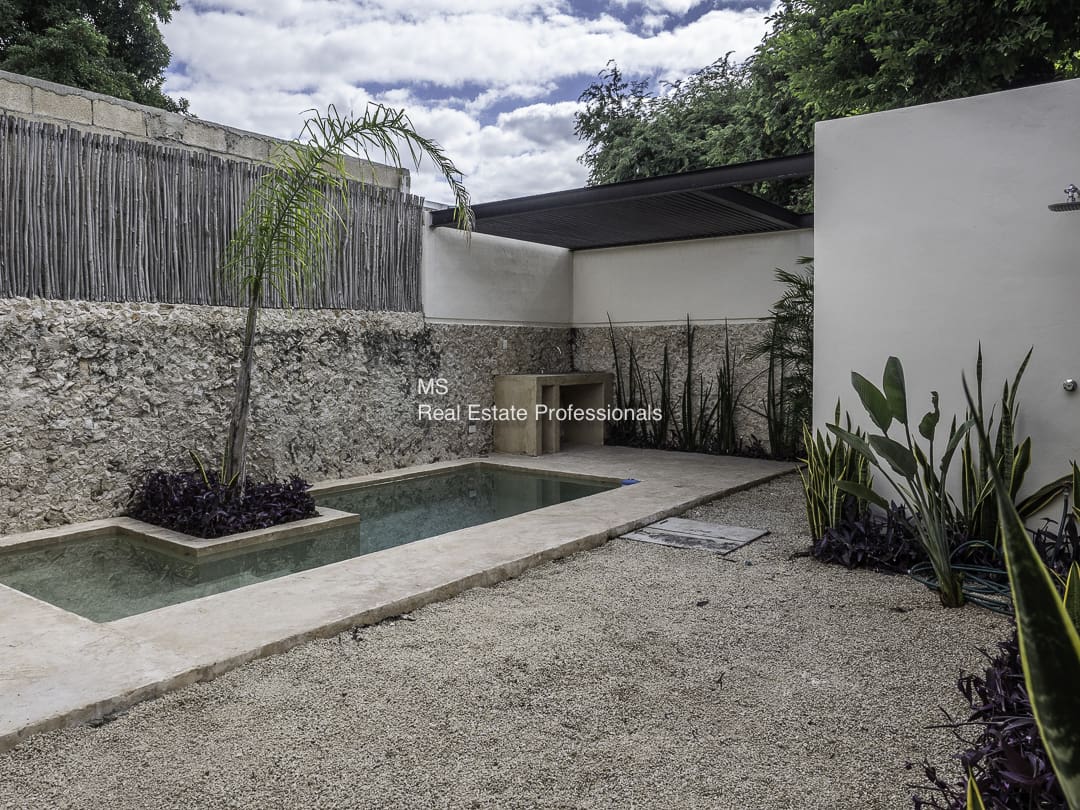 Modern outdoor patio with a small pool and plants.
