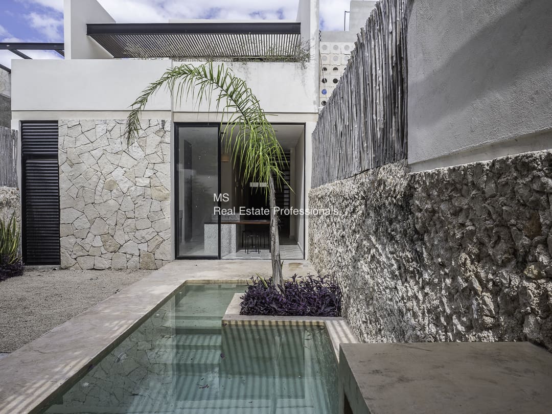 Modern courtyard with a small pool and a palm tree.