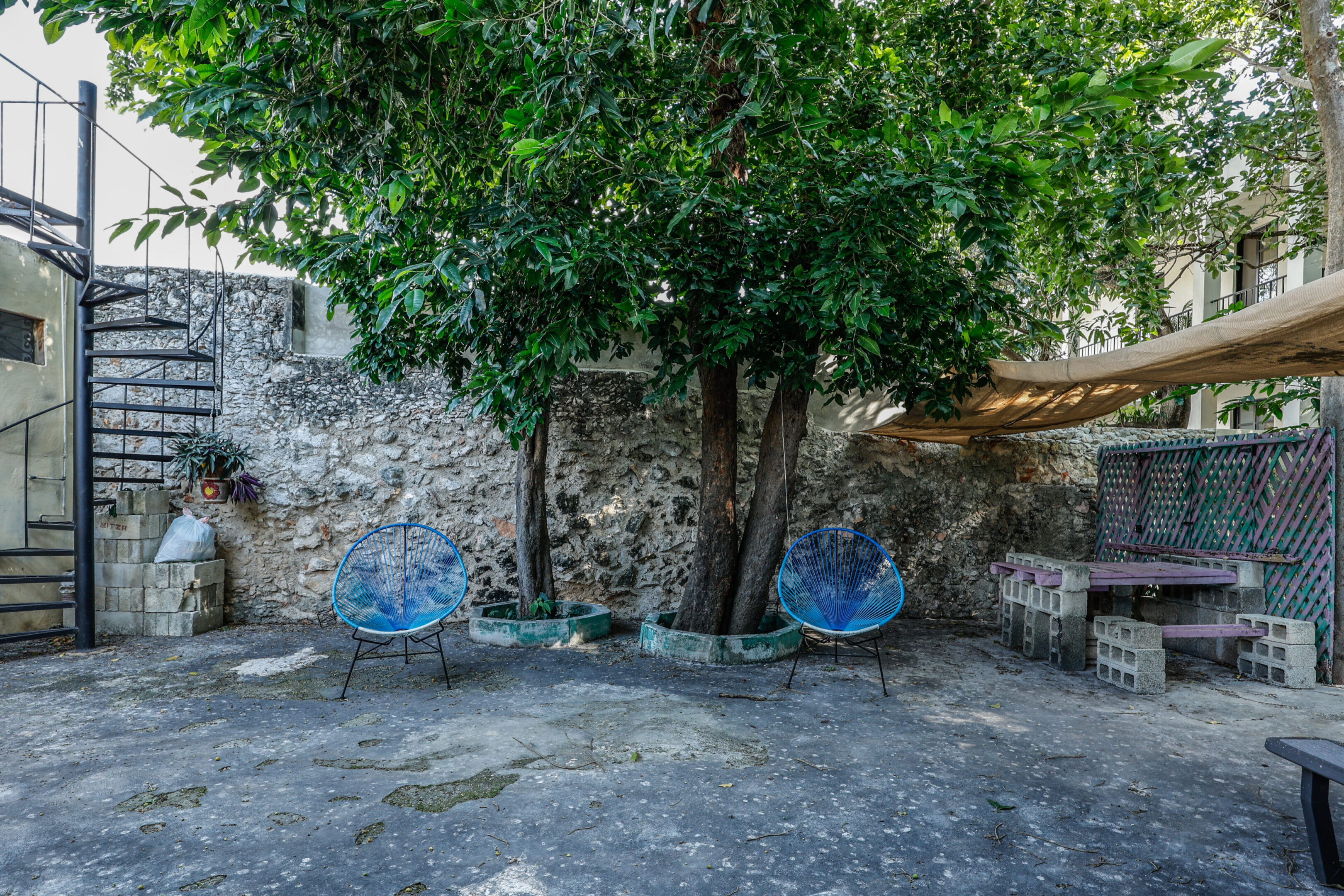 Two chairs in front of a tree and stone wall.