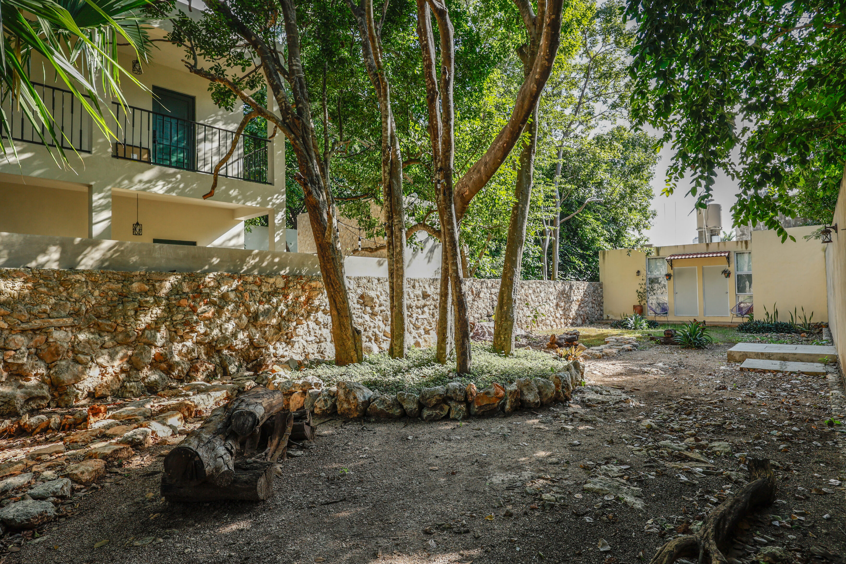 A tree in the middle of a garden