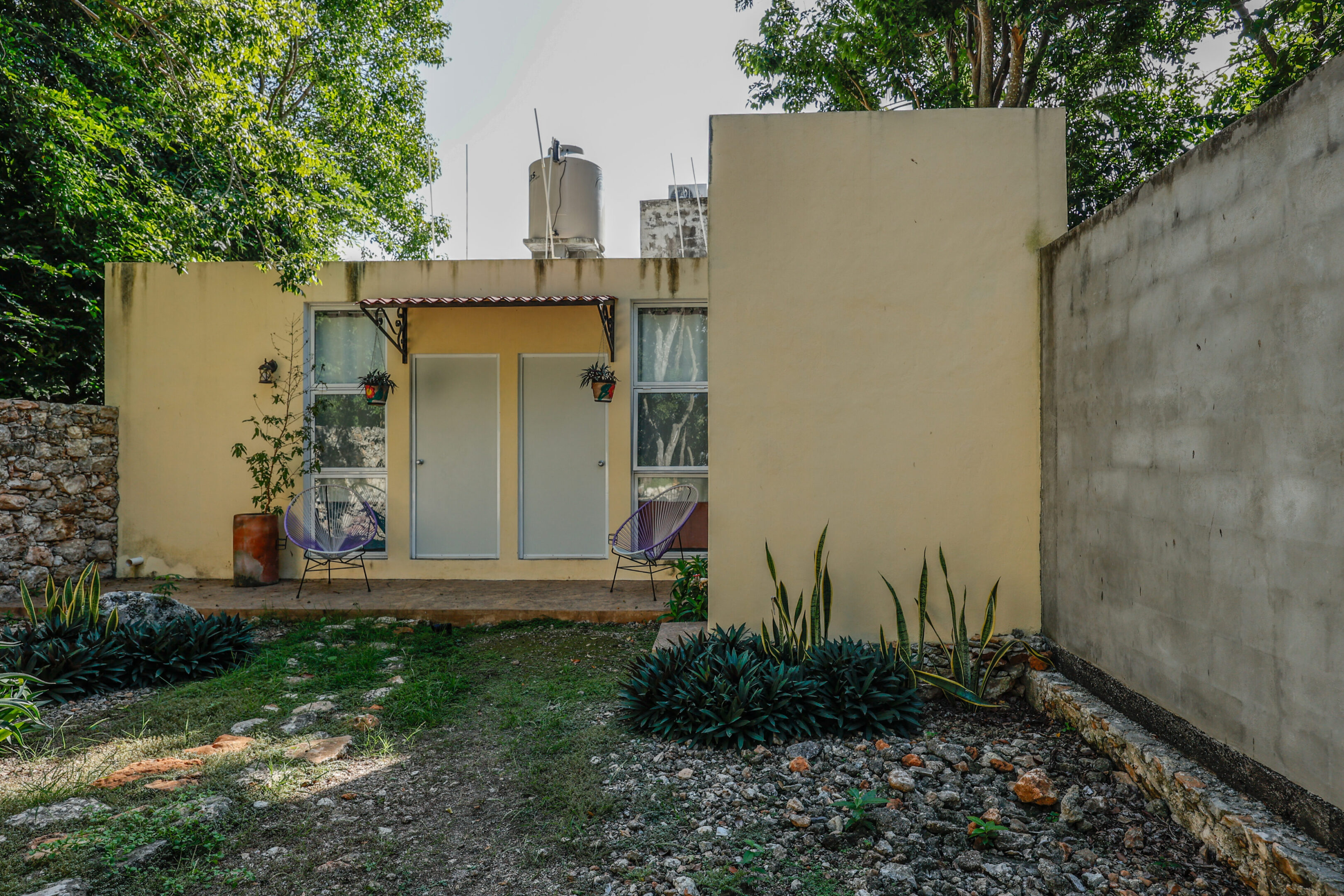 A house with a garden and plants in the yard.