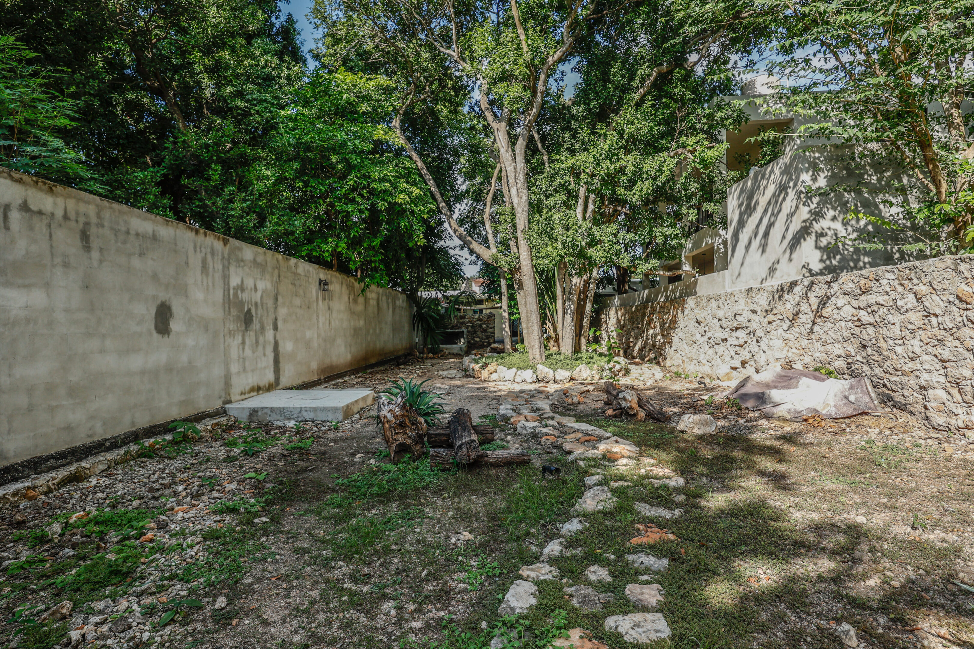 A view of the back yard from across the street.