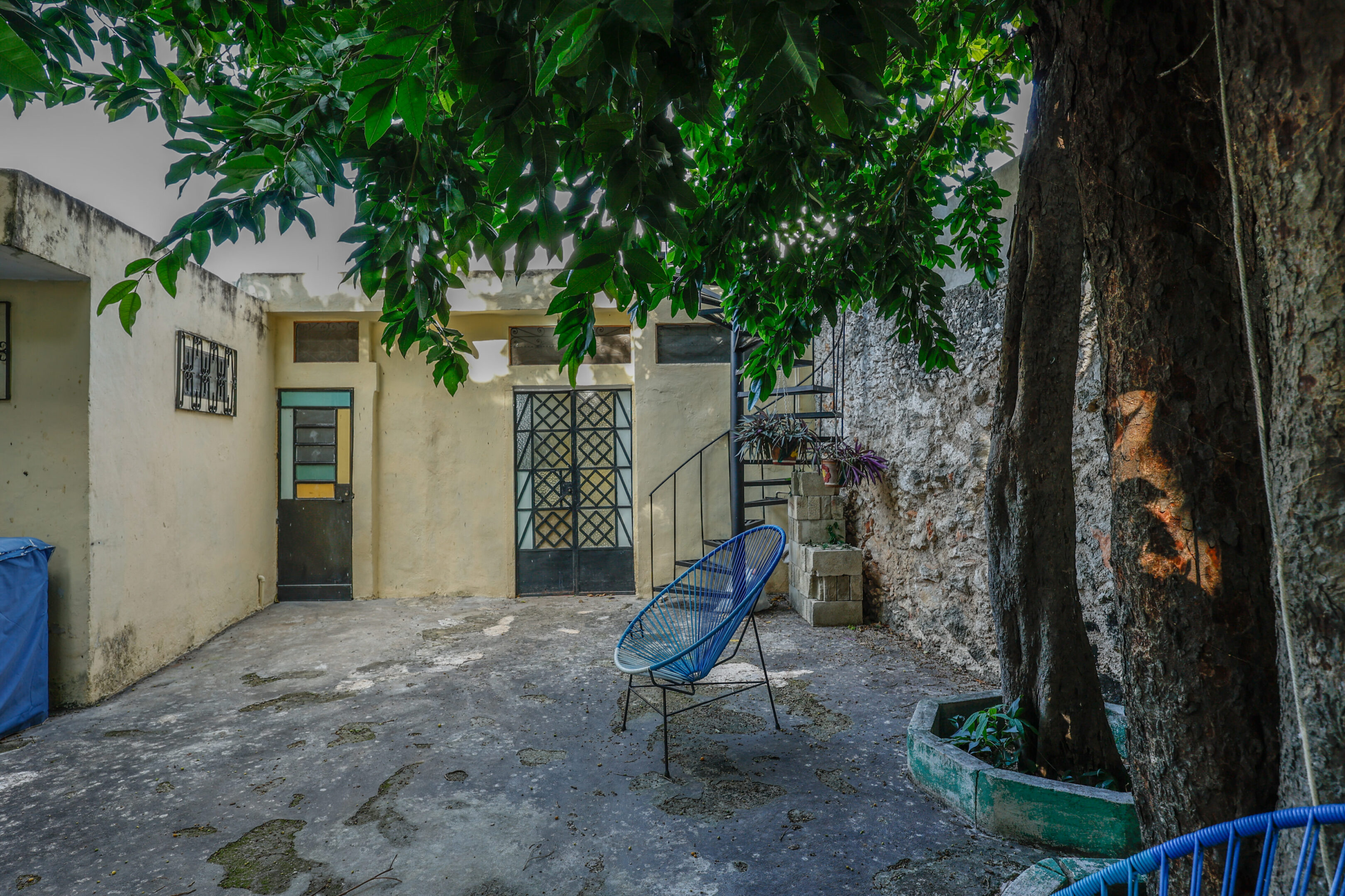 A blue chair under a tree in front of a building.