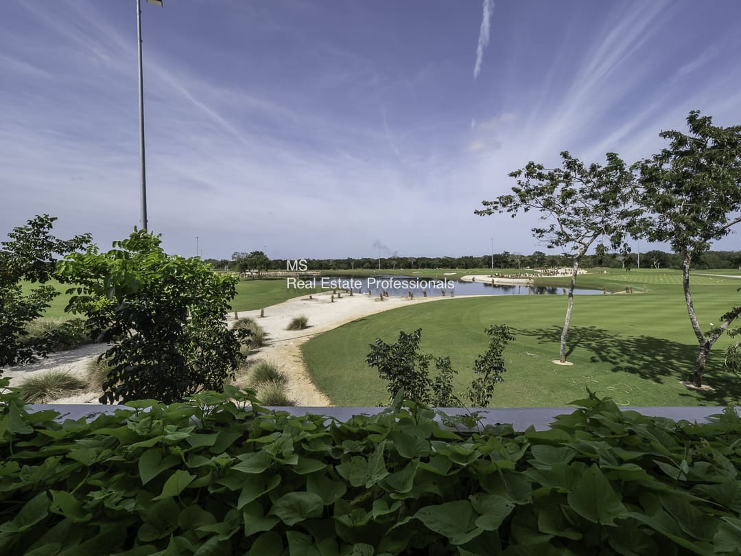 A view of the golf course from behind the bushes.