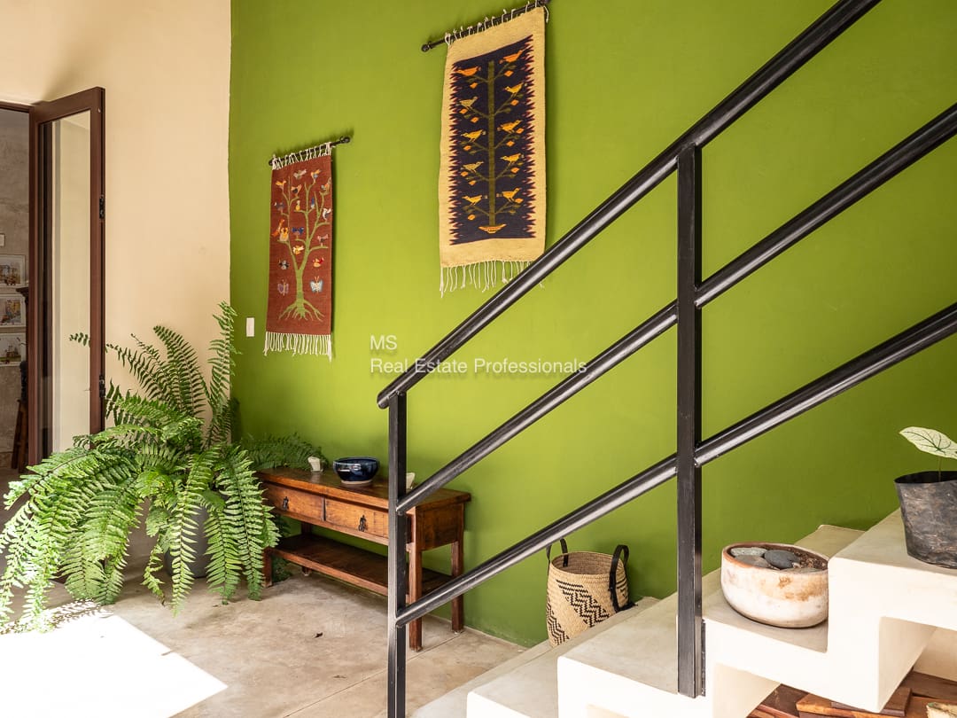 Green wall, staircase, plants, and tapestries.