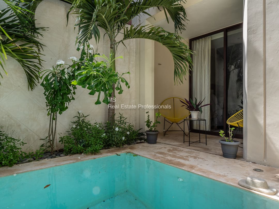 Tropical patio with plunge pool.