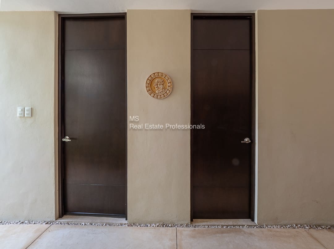 Two dark brown doors, decorative wall plate.