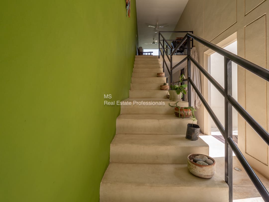 Indoor concrete stairs with plants.