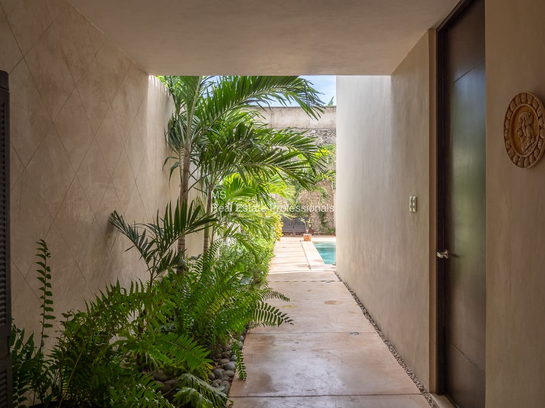 Pathway to tropical garden pool.