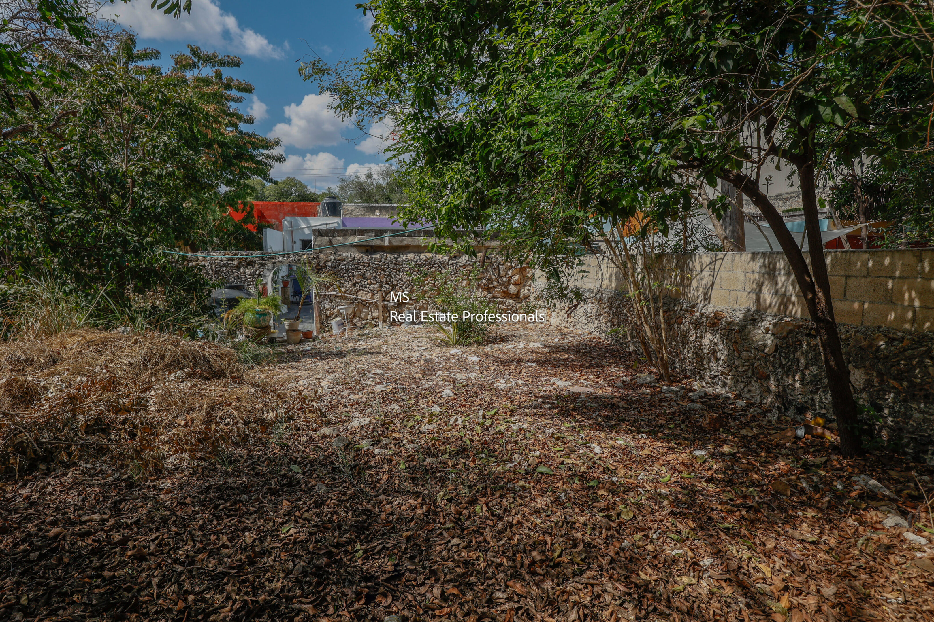 Leaf-covered backyard with stone wall.