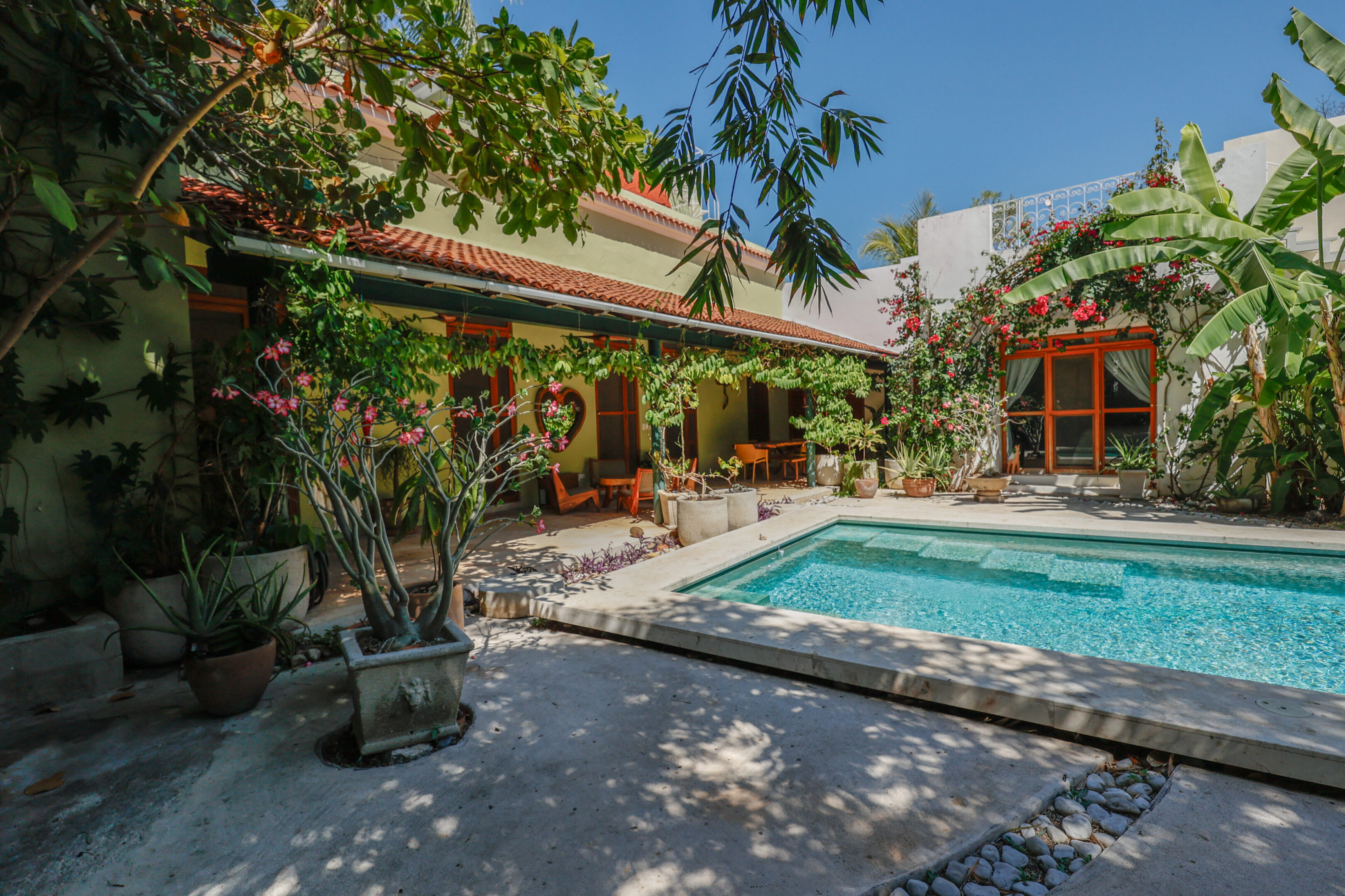Tropical courtyard with pool and plants.
