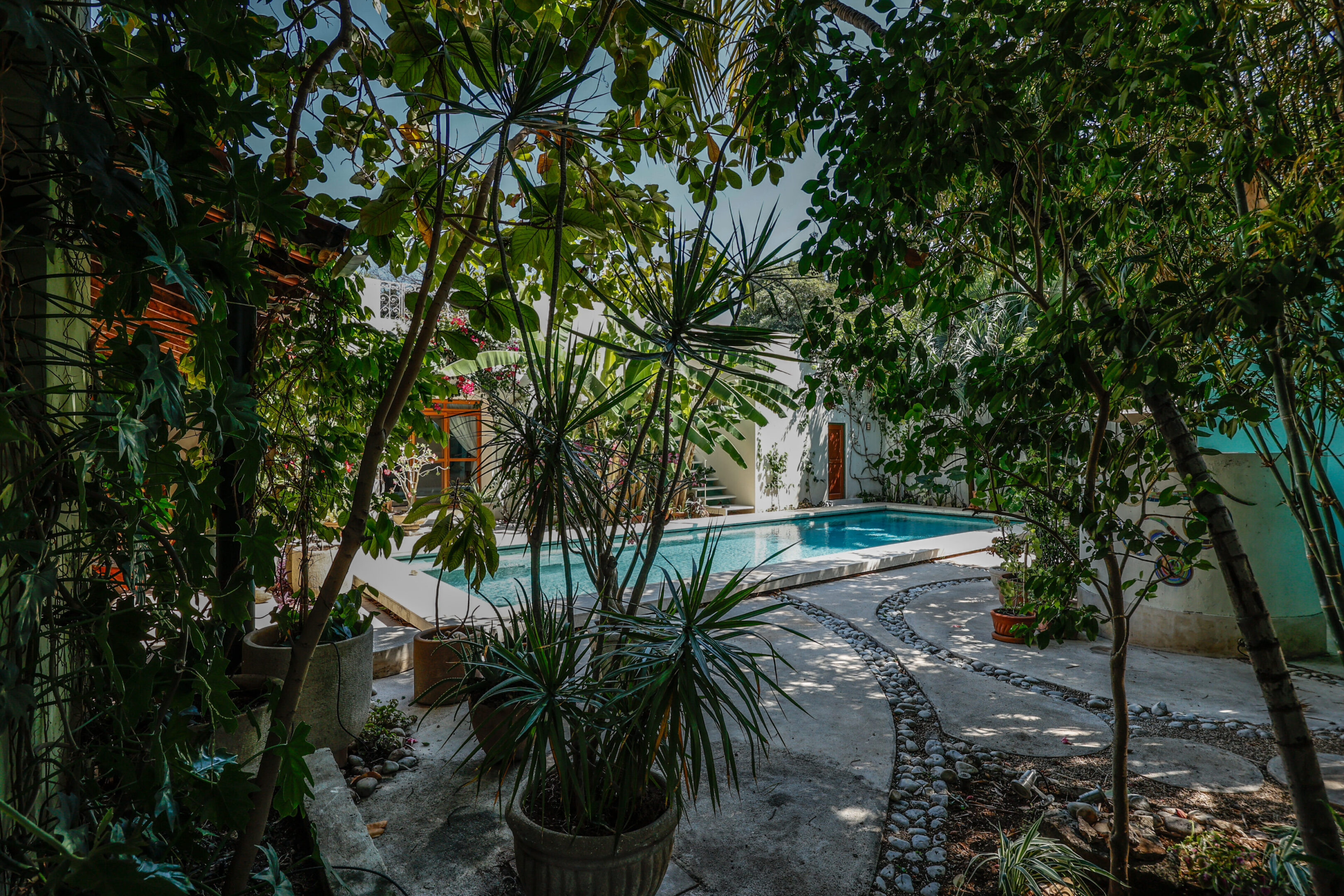 Secluded tropical courtyard pool scene.