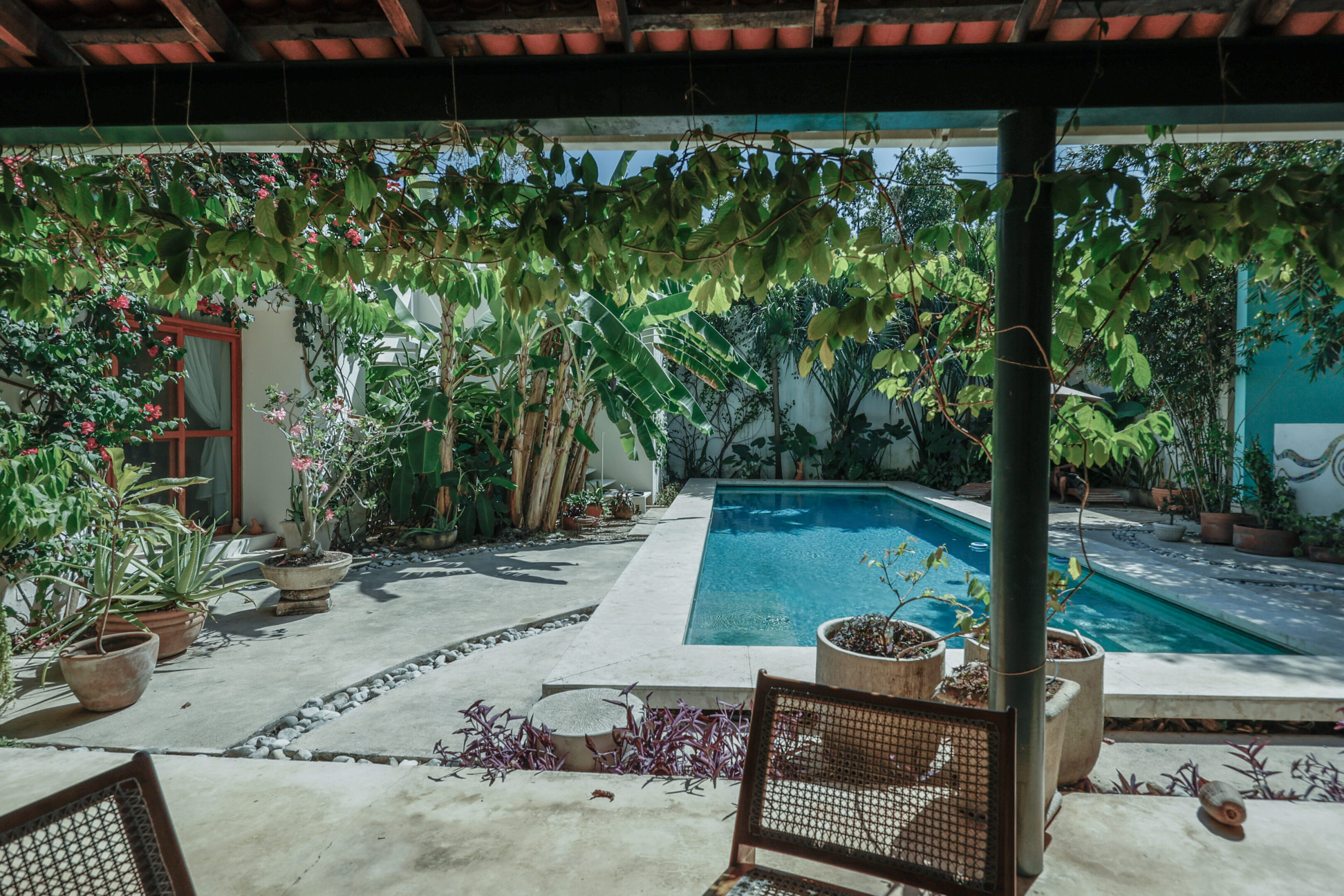 Tropical courtyard with inviting pool.