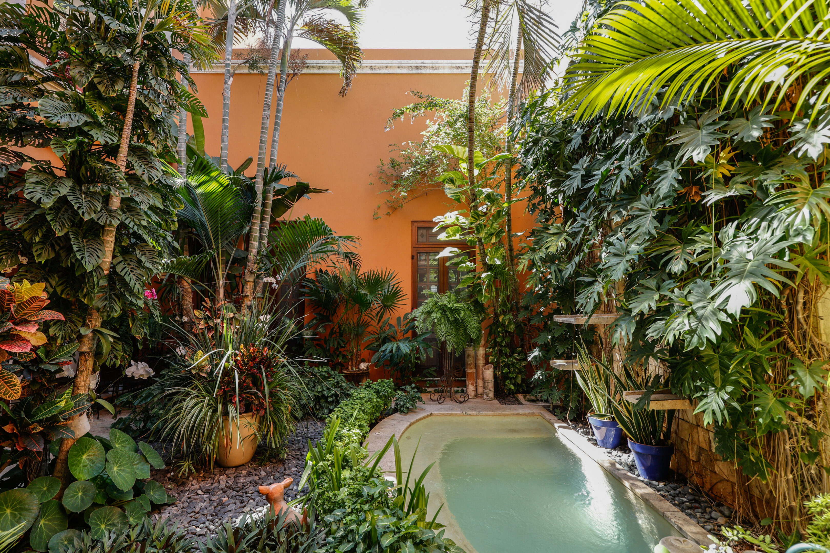 Tropical garden with small pool.