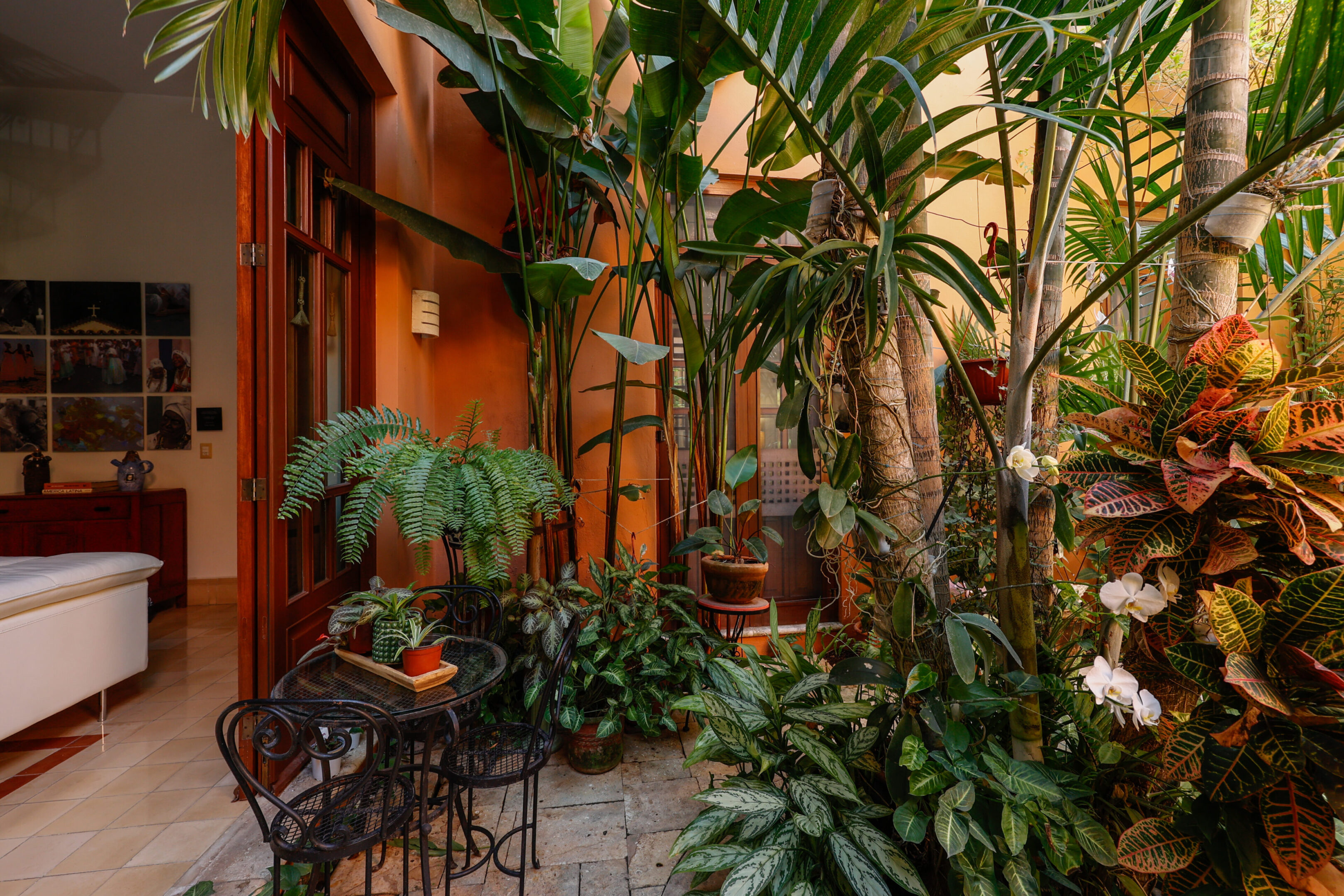 Lush tropical patio with seating.