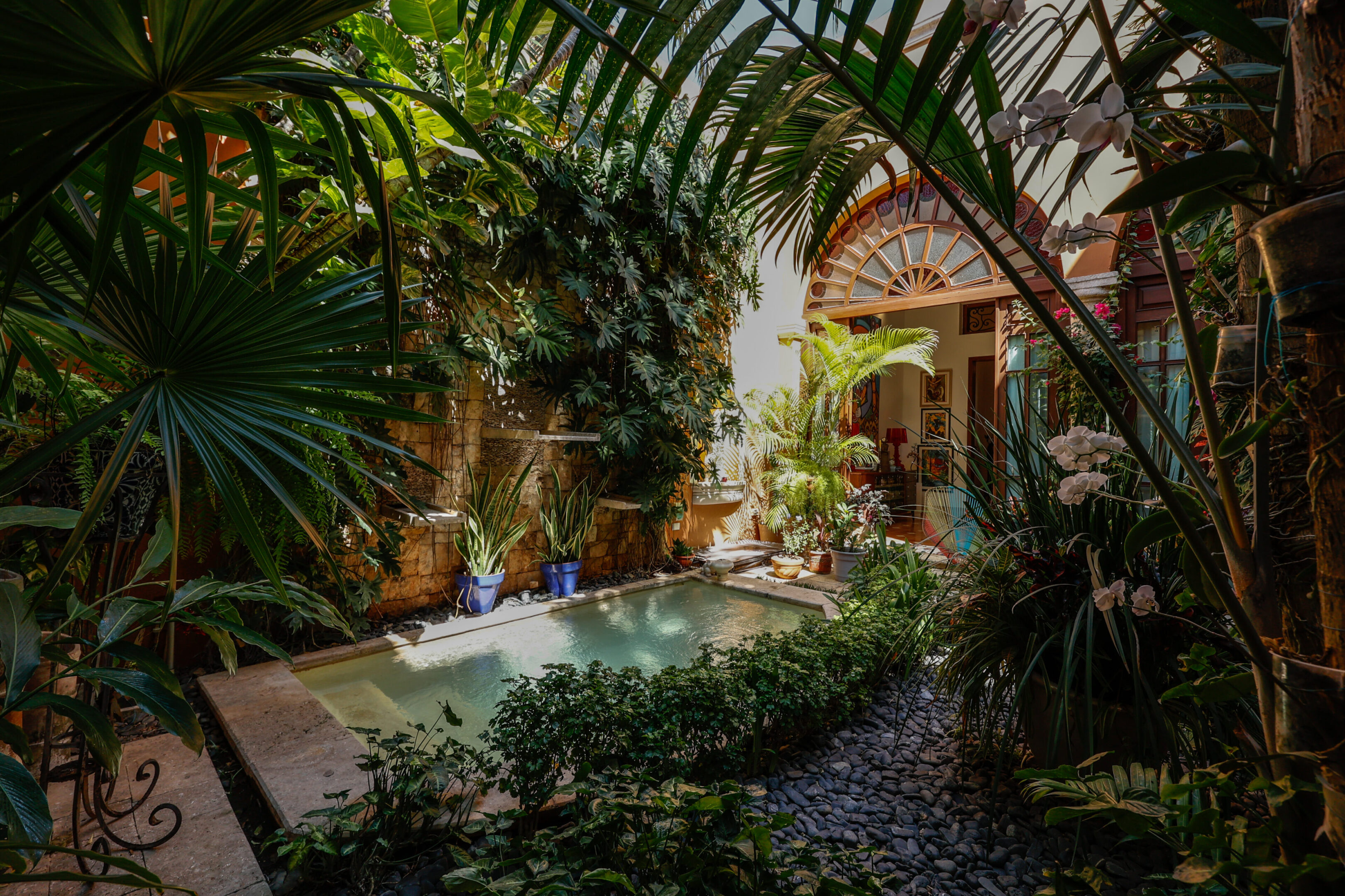 Lush tropical courtyard with pool.