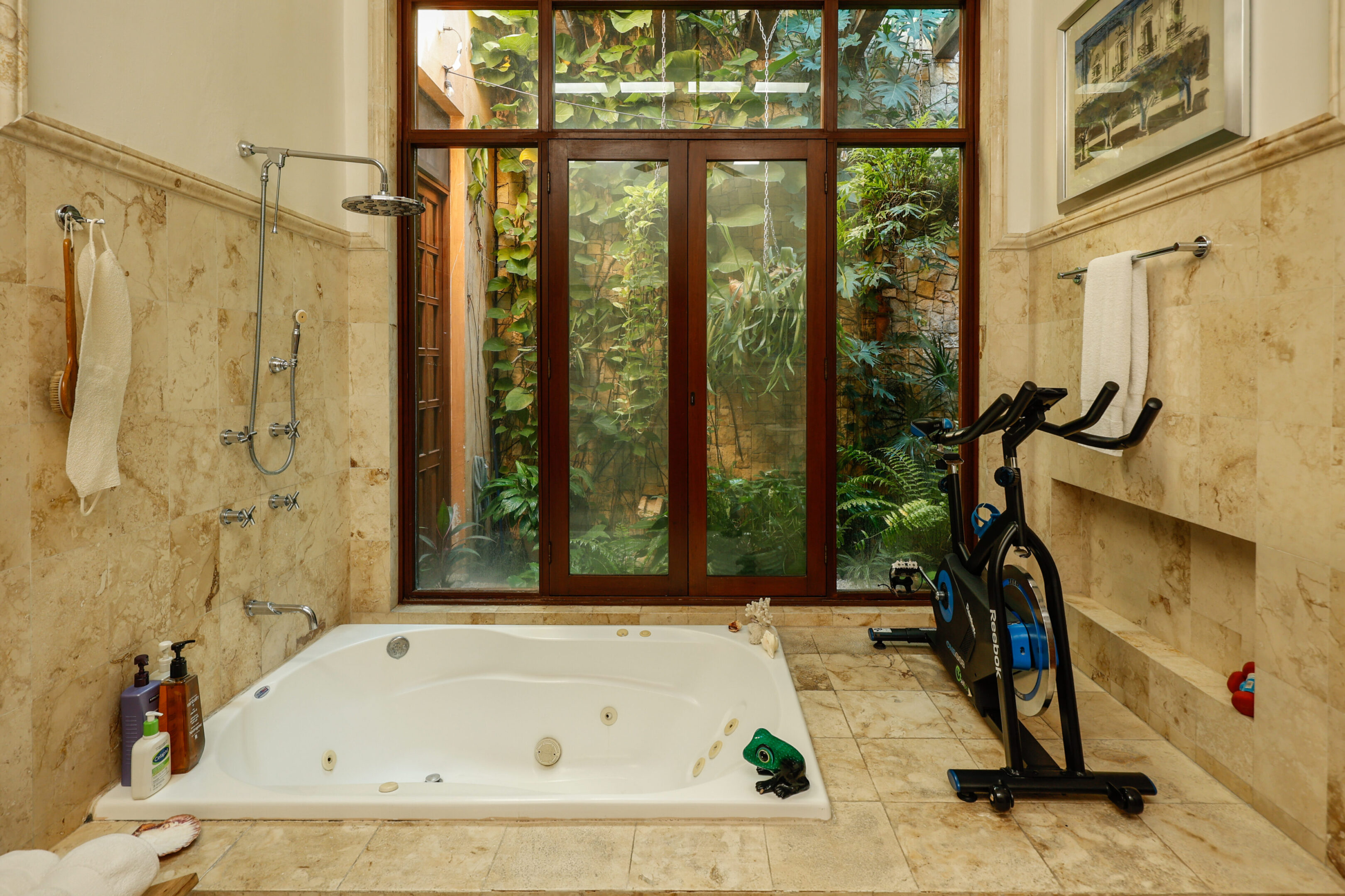 Luxury bathroom with jacuzzi and exercise bike.