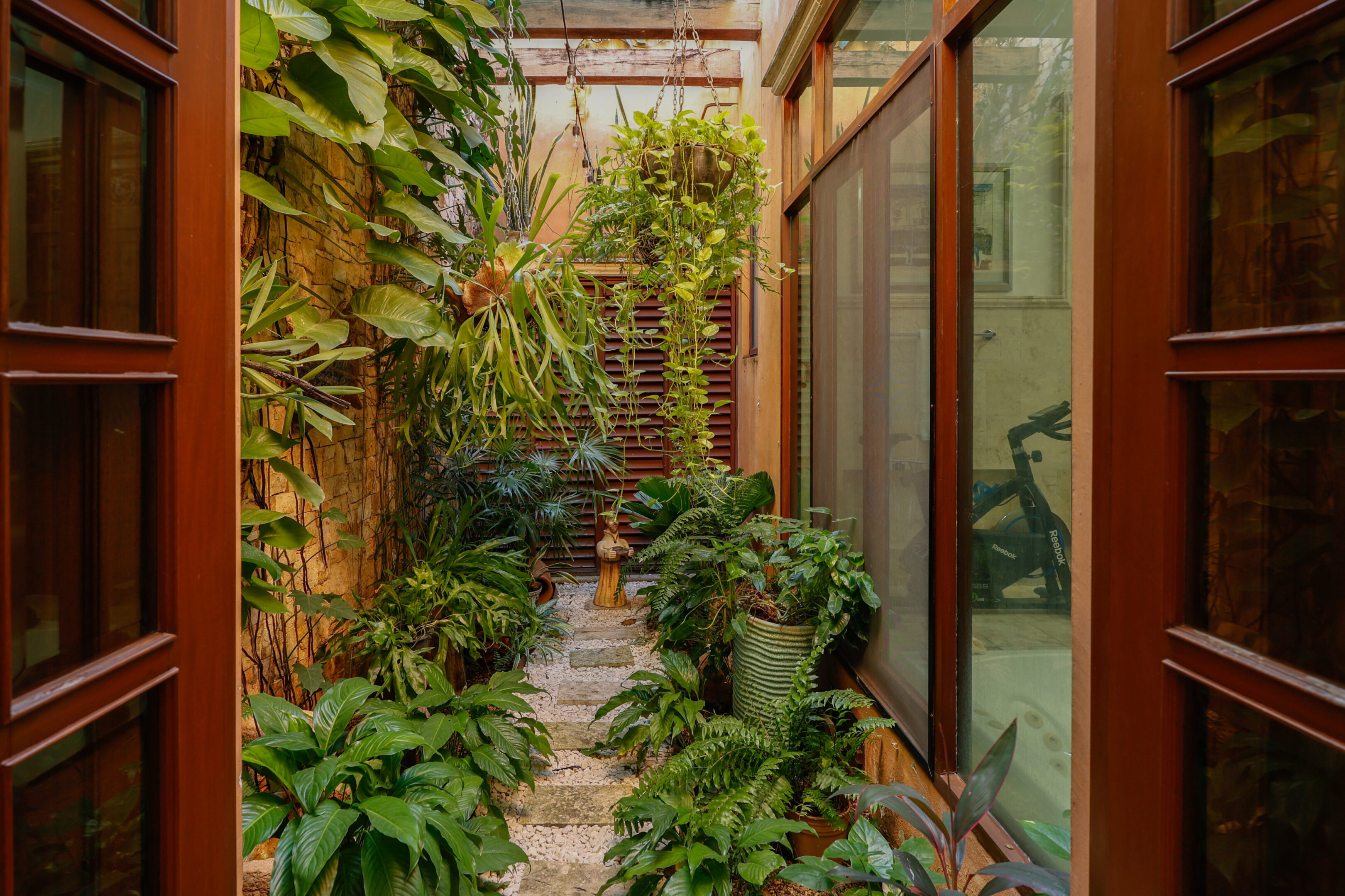 Lush indoor garden path with plants.