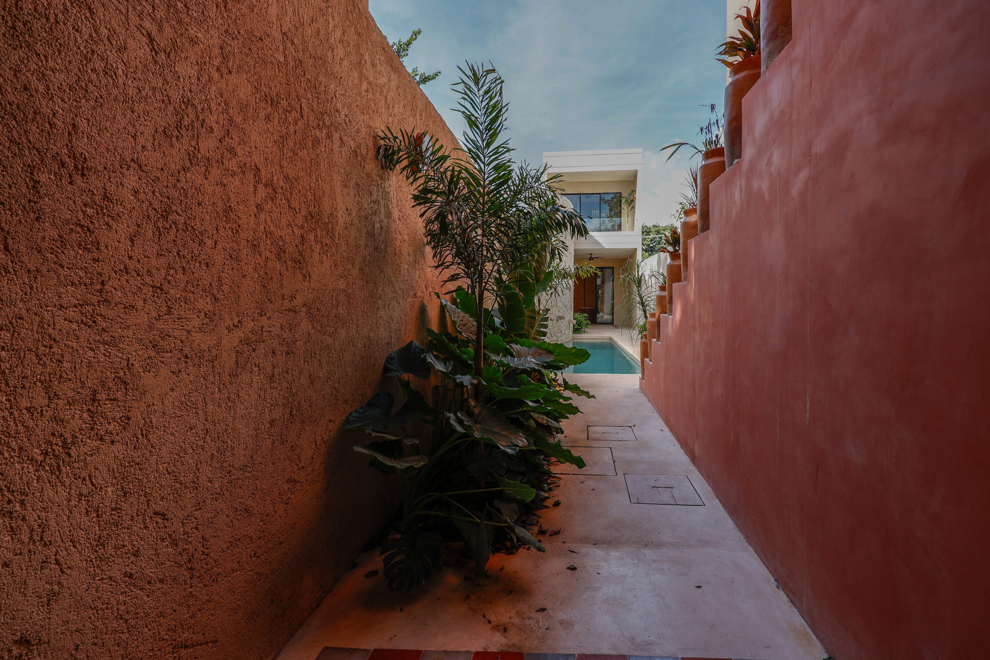 Narrow pathway with plants and a house at the end.