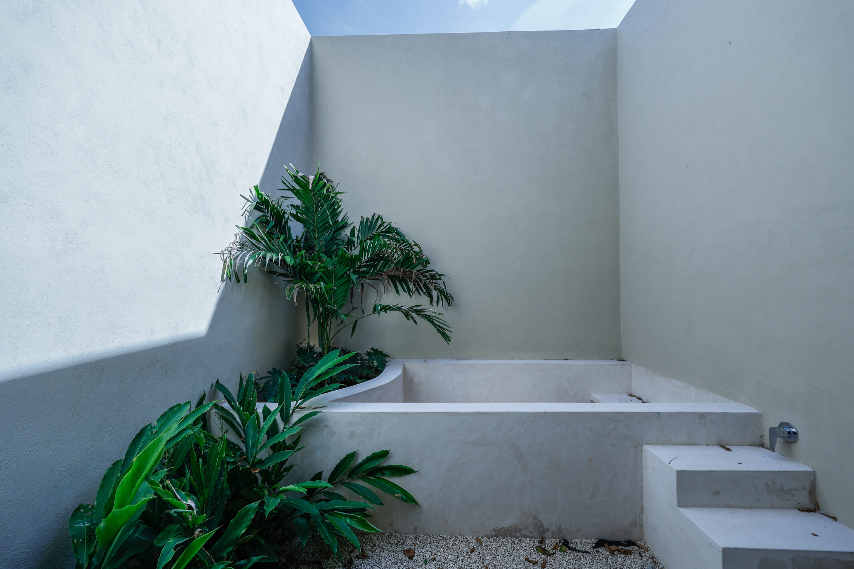 Minimalist outdoor corner with plants and concrete seating.