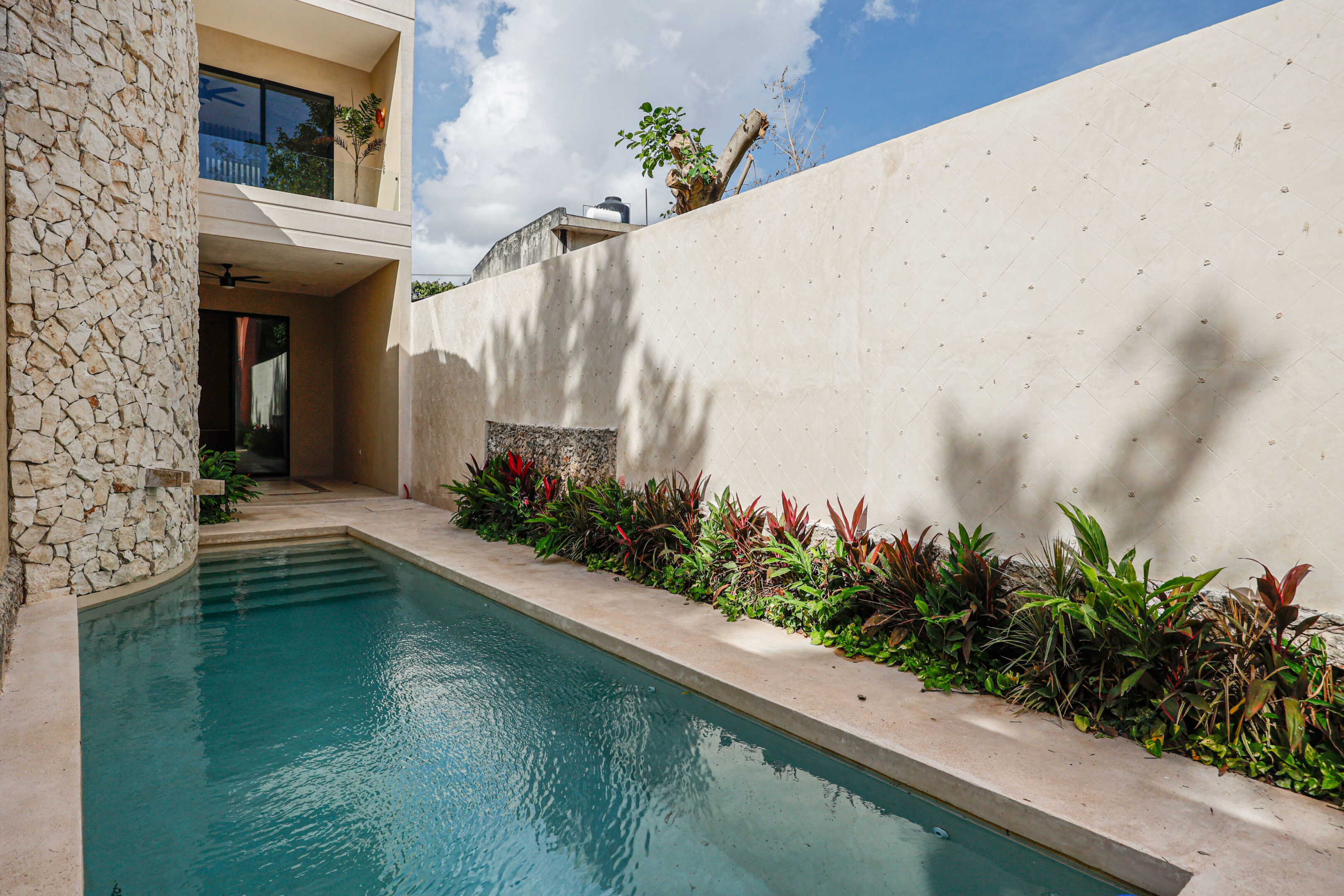 A modern backyard pool with plants and a clear sky.