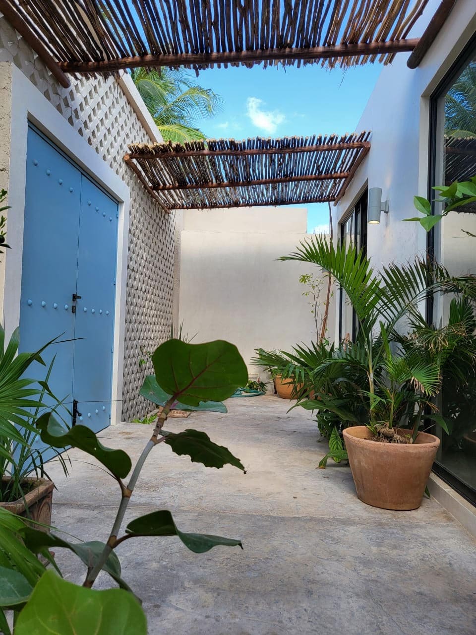 A small courtyard with potted plants and a wooden pergola.