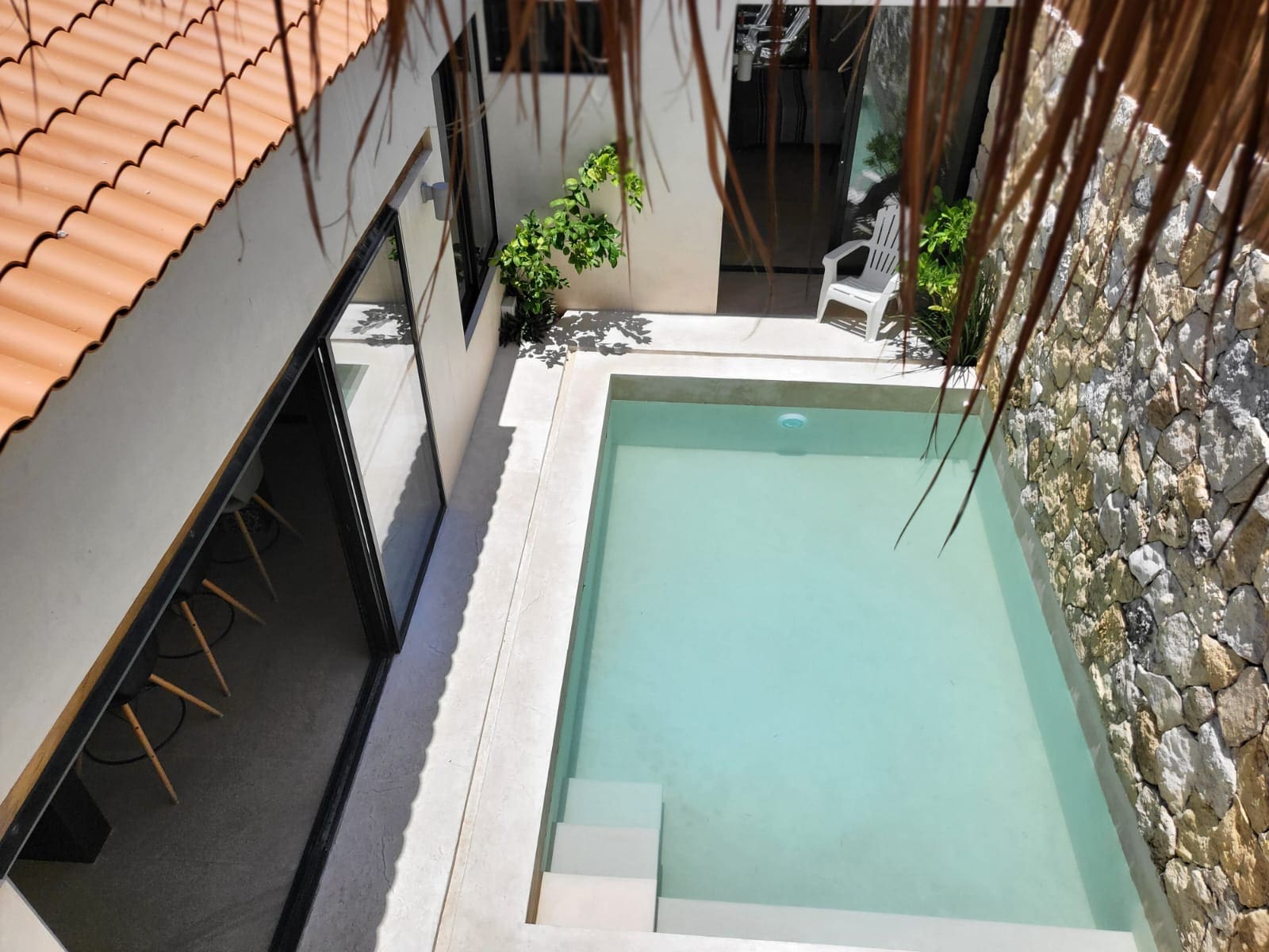 A small rectangular pool in a modern patio area with plants.