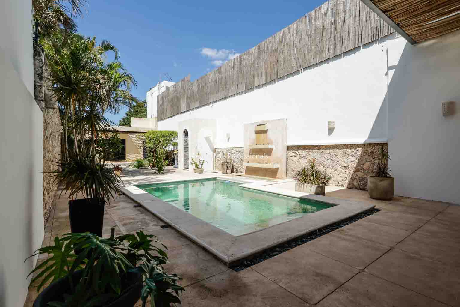 A modern outdoor pool with a barbecue grill and plants around.