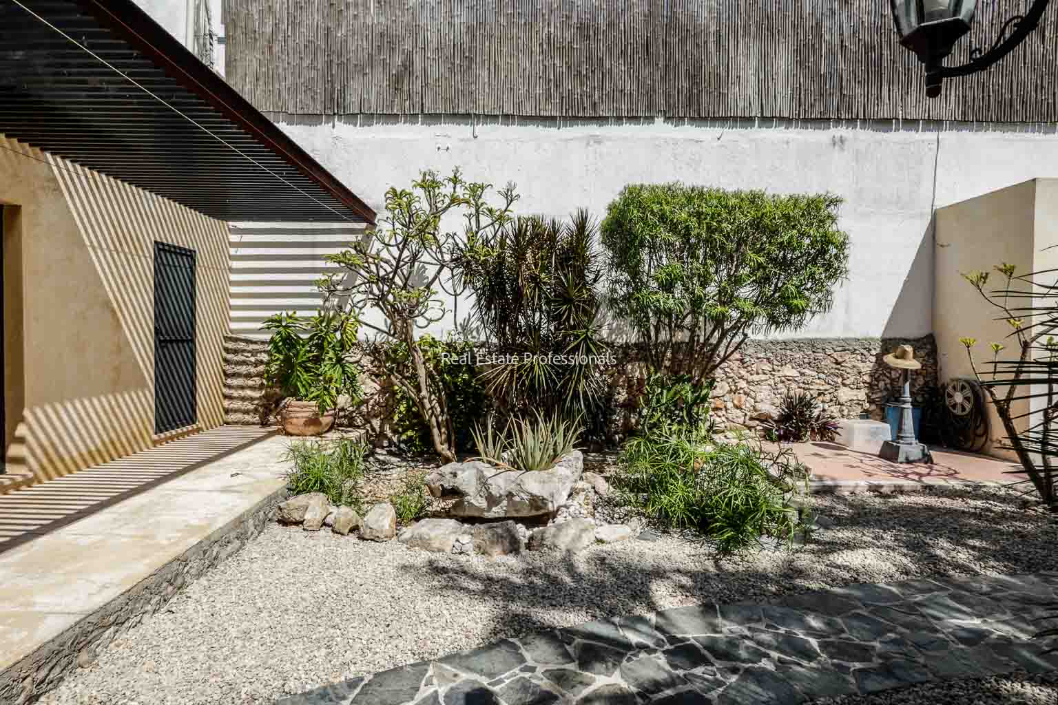 A dry garden with various shrubs and a gravel pathway beside a house.