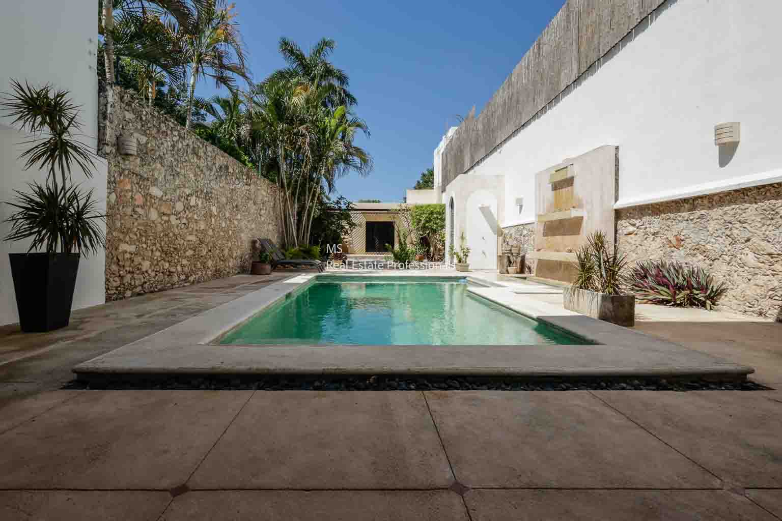 Modern backyard with a swimming pool and palm trees.