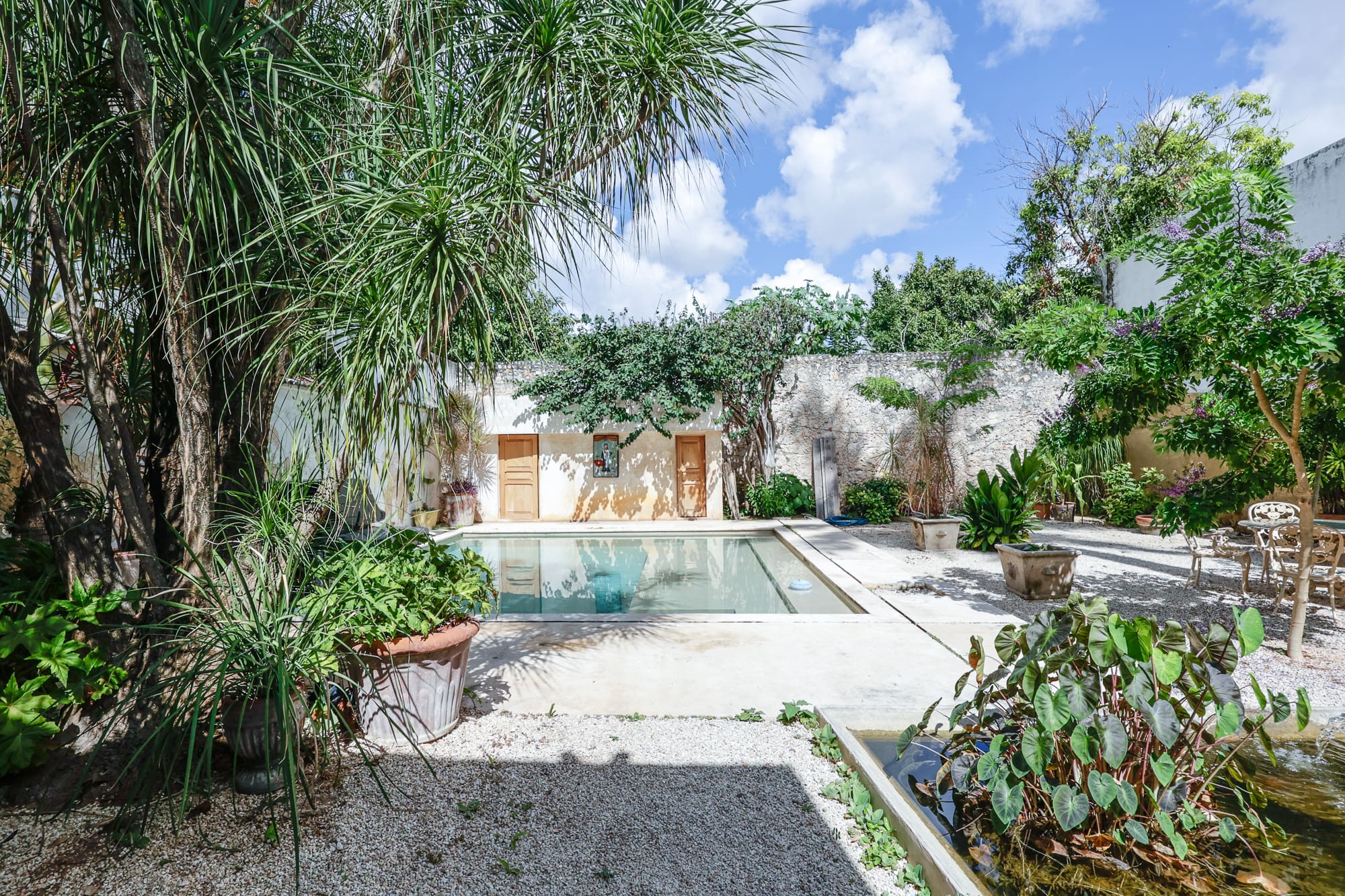 Tranquil courtyard with a pool surrounded by greenery and stone walls.