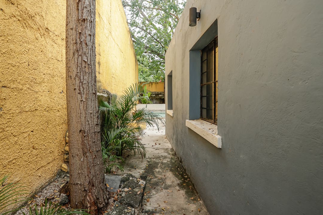 Narrow outdoor pathway between a tree and building walls.