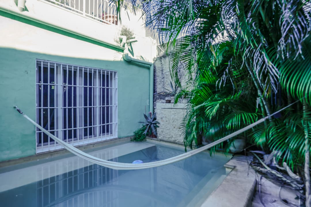 Cozy backyard pool with hammock and lush greenery.