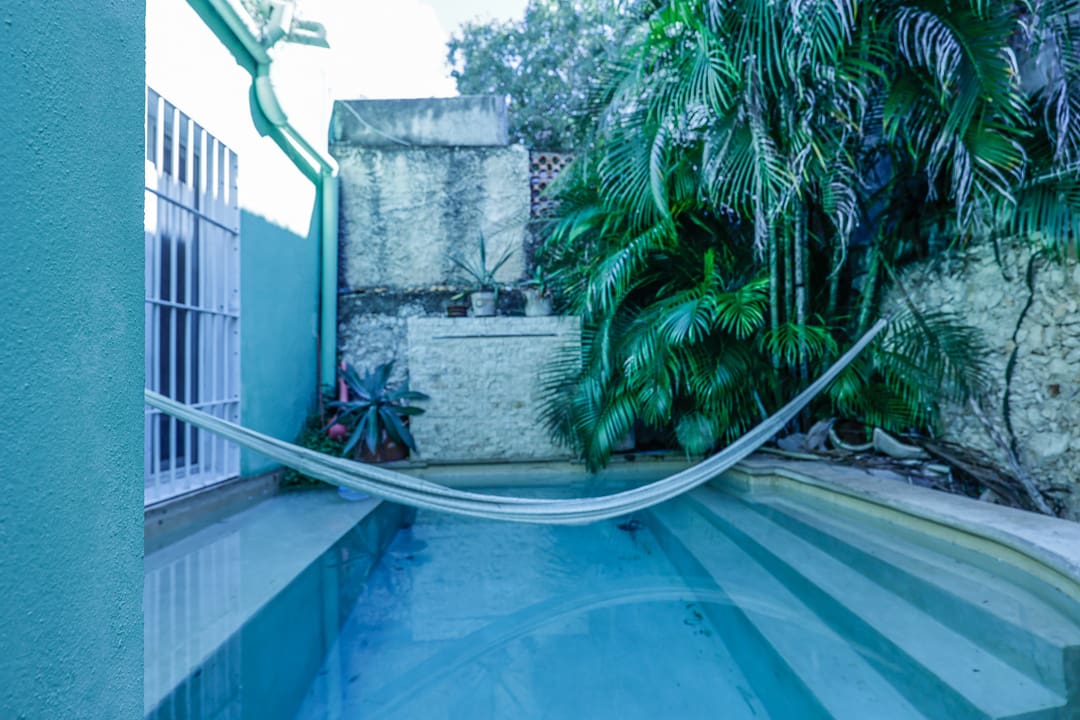 A serene backyard pool with a hammock and lush greenery.