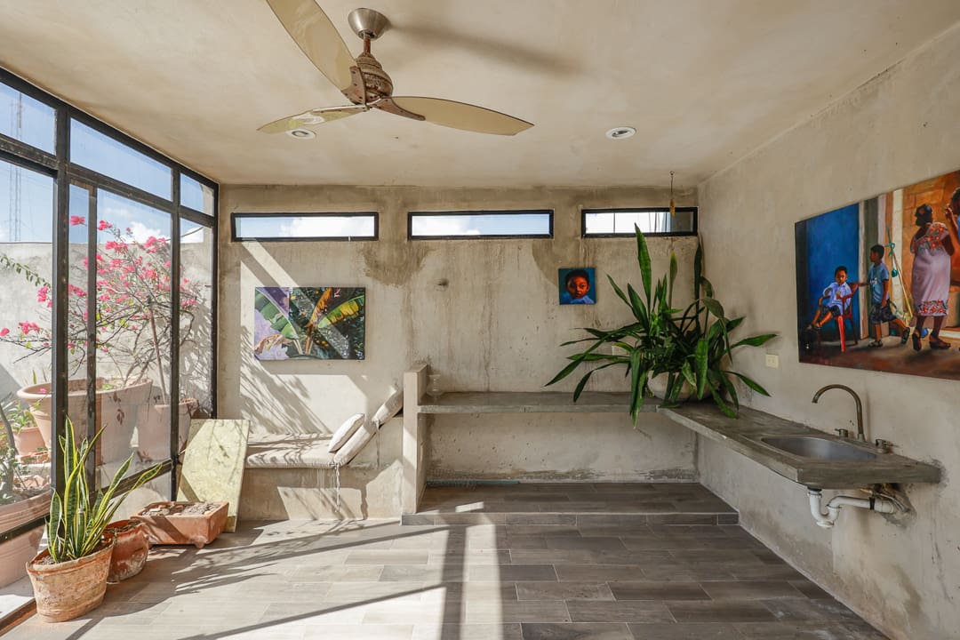 Sunlit modern room with plants and artwork on walls.