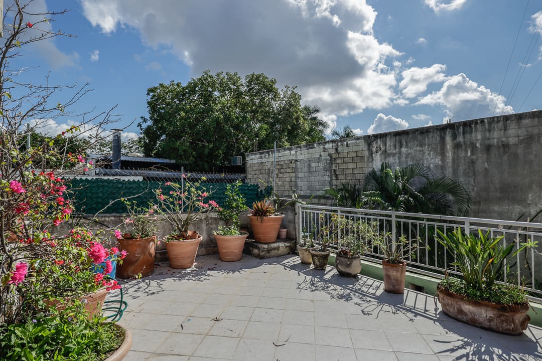 A sunlit patio with potted plants and a cloudy sky.