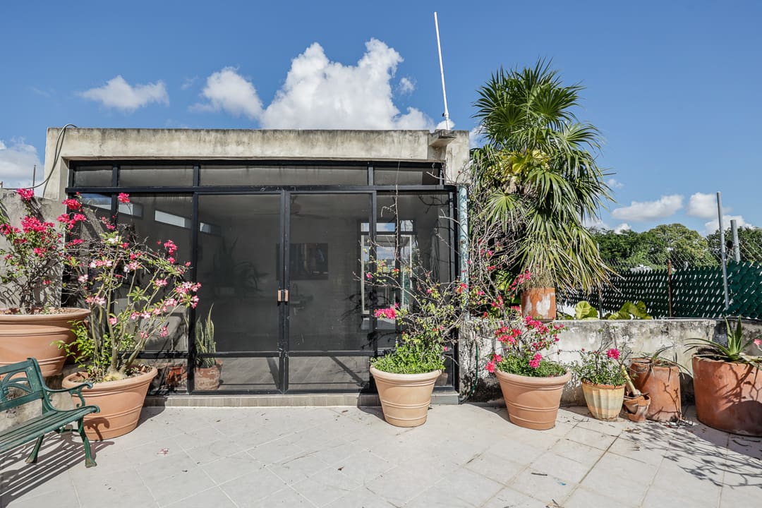 A sunny patio with potted plants and a glass door.