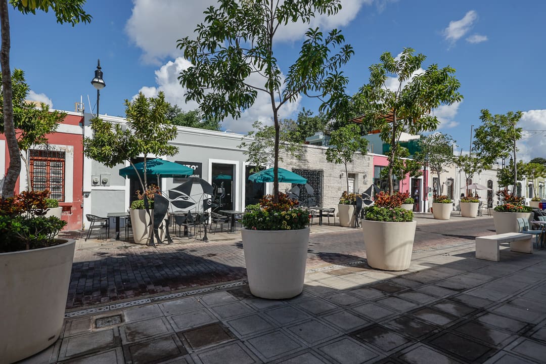 Outdoor seating area with umbrellas and trees along a sunny street.