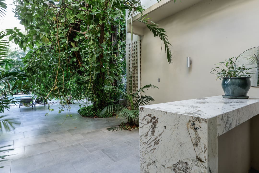 Minimalist outdoor space with stone bench and lush greenery.