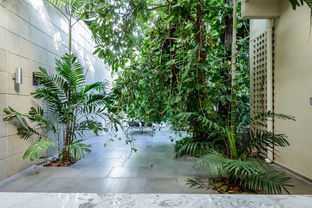 Bright indoor garden with lush green plants and natural light.