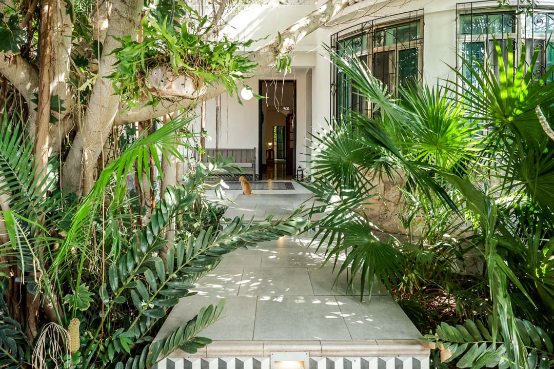 Serene courtyard with lush greenery and open doorways.