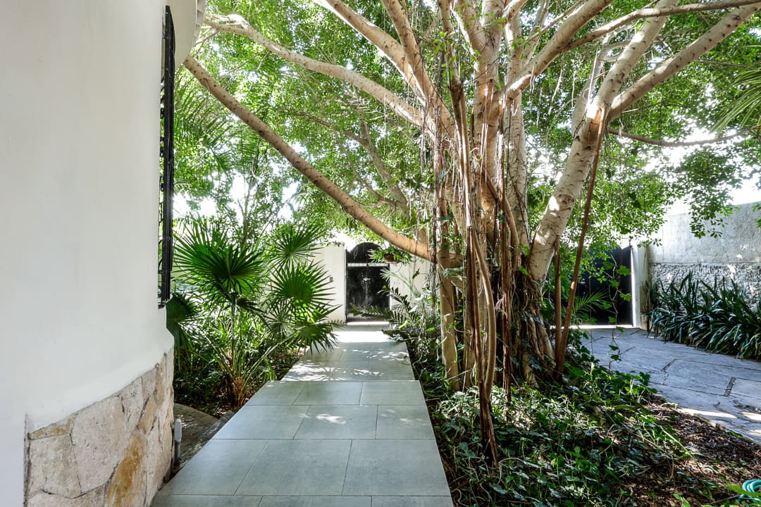 A serene walkway lined with lush greenery and a large tree canopy.
