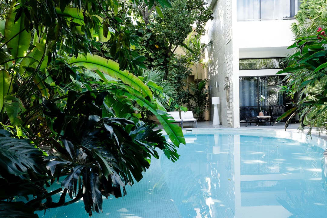 Lush greenery beside a serene indoor pool with natural light.