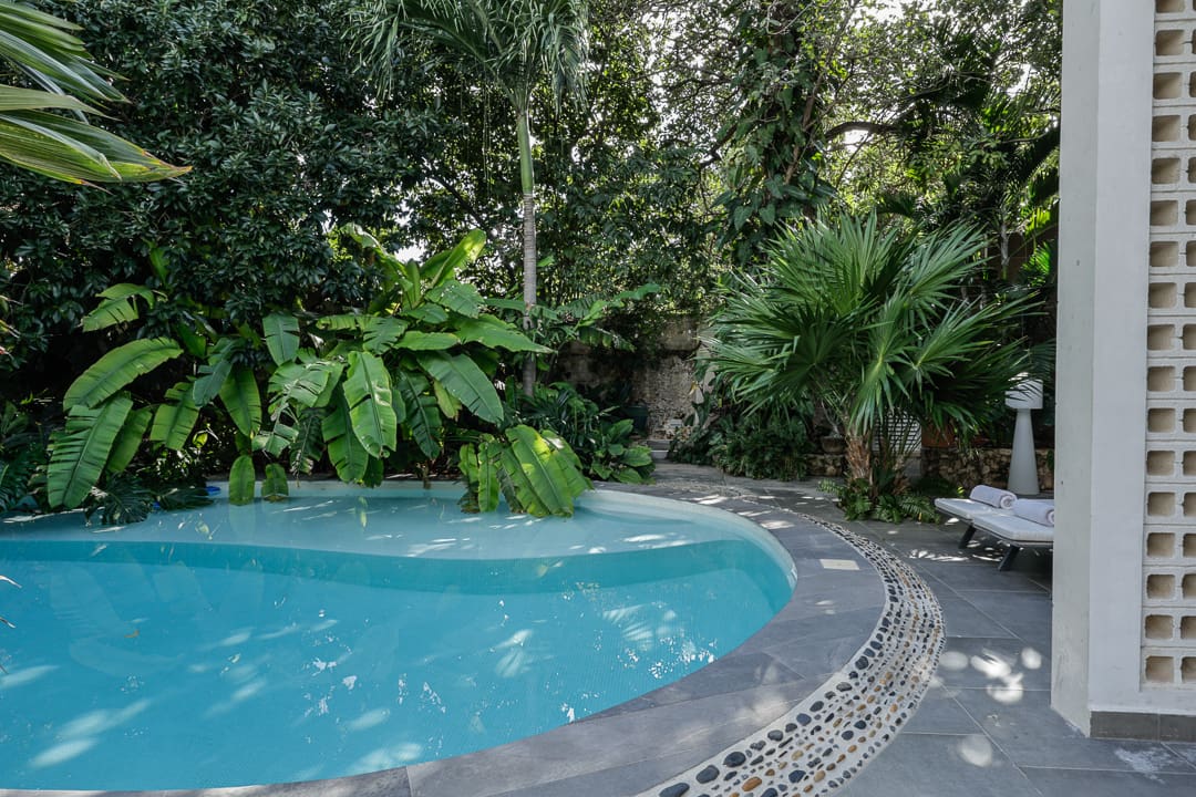 A serene backyard pool surrounded by lush tropical plants and trees.