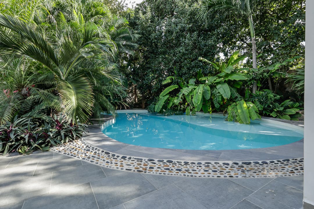 Serene blue pool surrounded by lush tropical greenery and stone edges.
