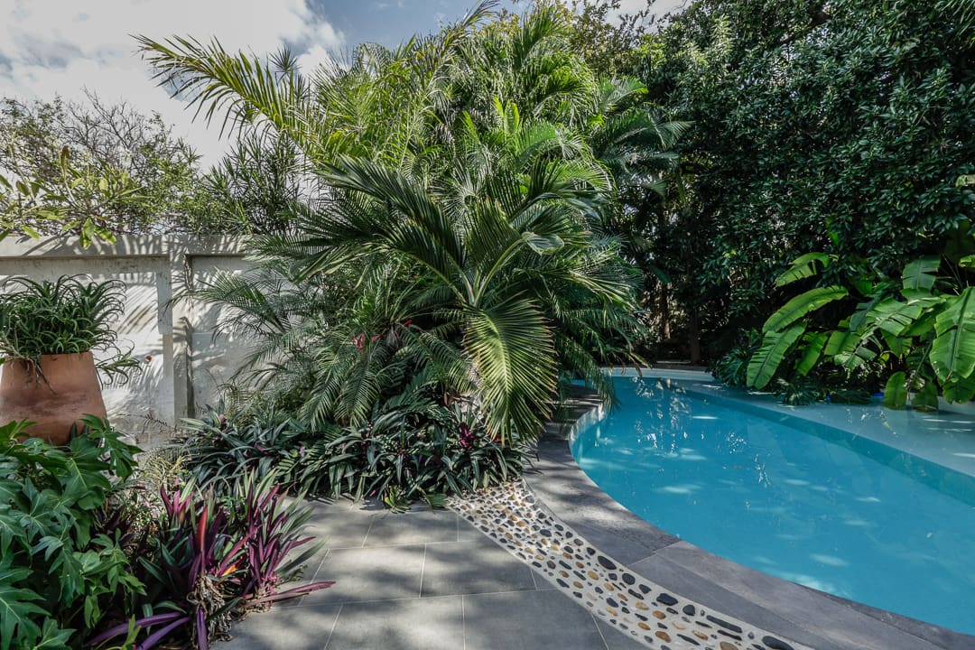 Lush garden surrounding a serene pool with a stone pathway.