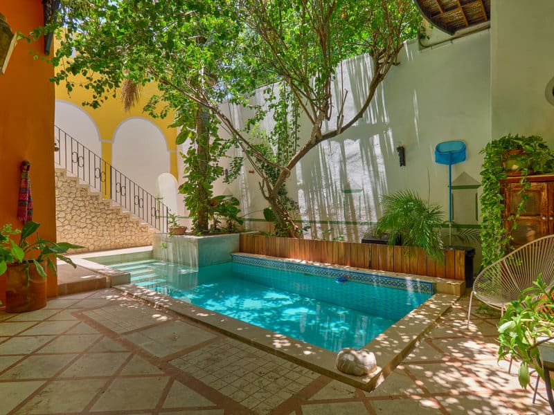 A serene courtyard with a small pool and lush greenery.