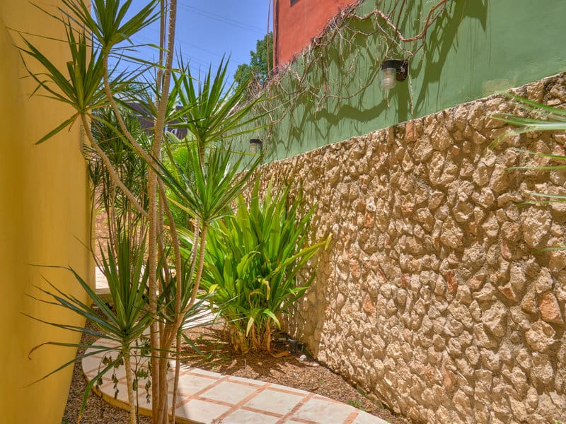 A narrow outdoor space with plants beside a stone wall.