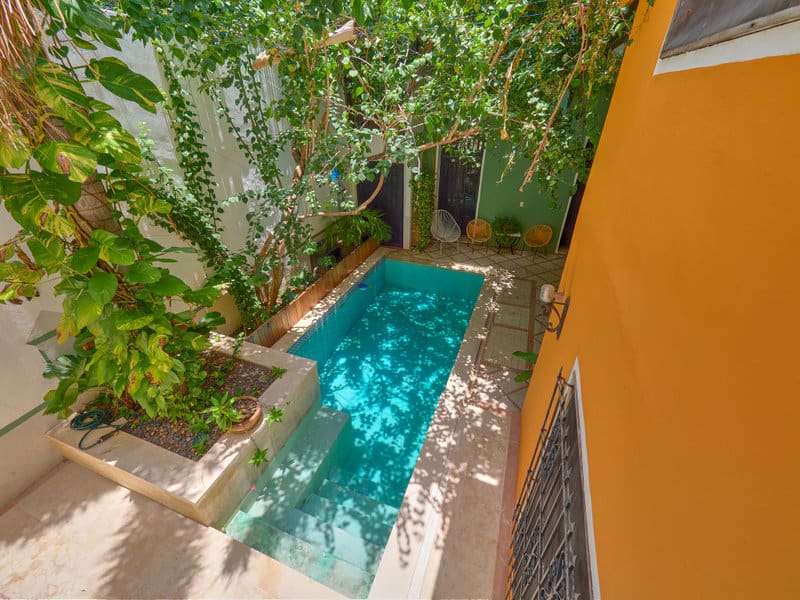 A small, inviting pool surrounded by lush greenery and an orange wall.